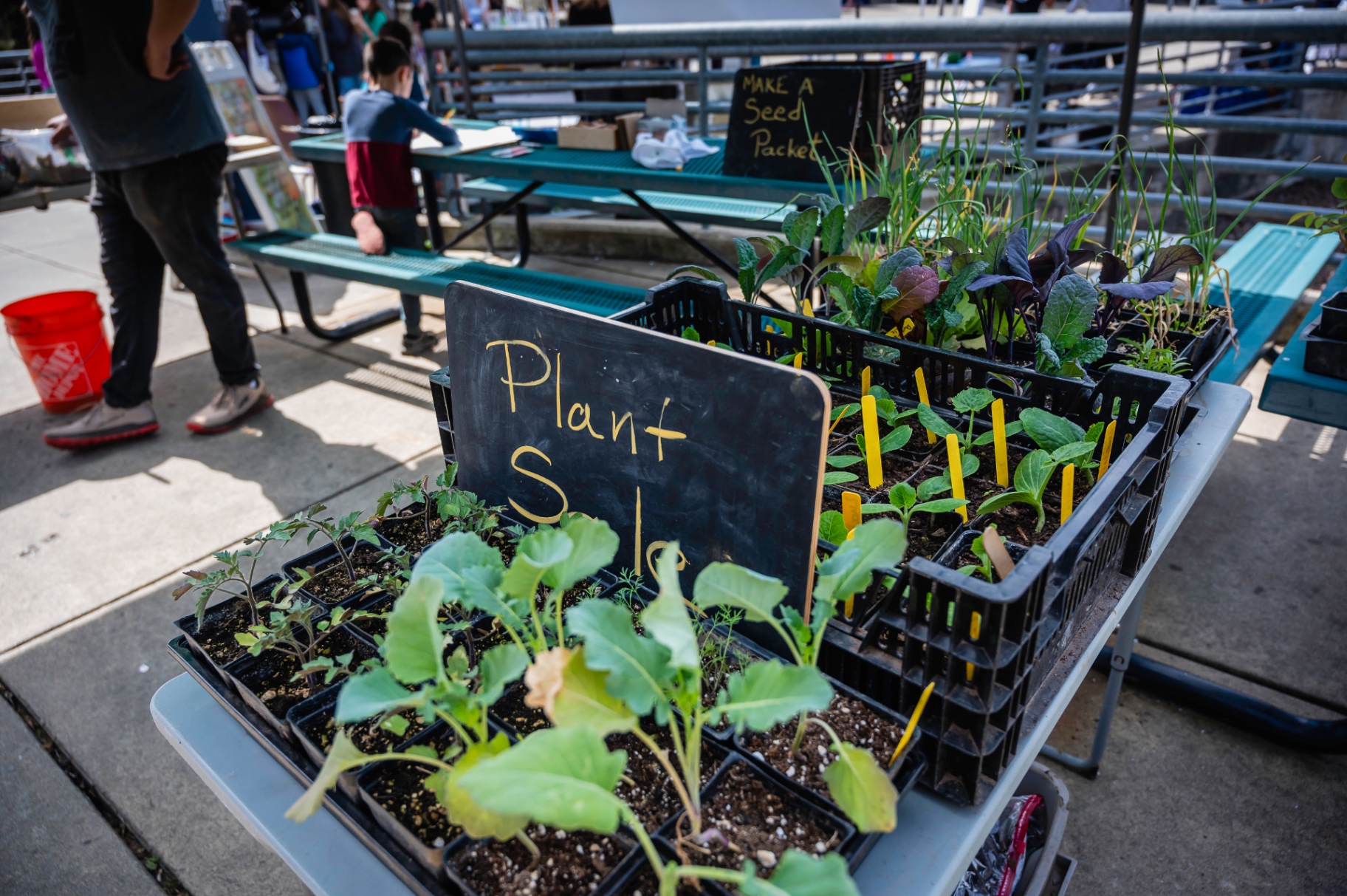 Plant sale at the Healthy El Dorado Expo